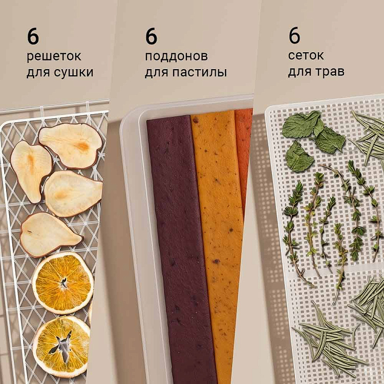 Электросушилка REDMOND FD1107 - фото 2 - купить в интернет-магазине Редмонд