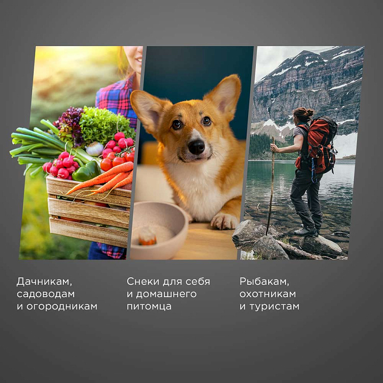 Электросушилка РЕДМОНД FD1102 - фото 3 - купить в интернет-магазине Редмонд