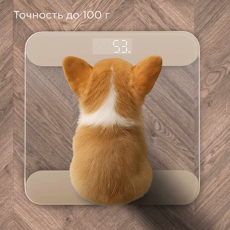 Напольные весы РЕДМОНД SB1811 (бежевый) - фото 4 - купить в интернет-магазине Редмонд