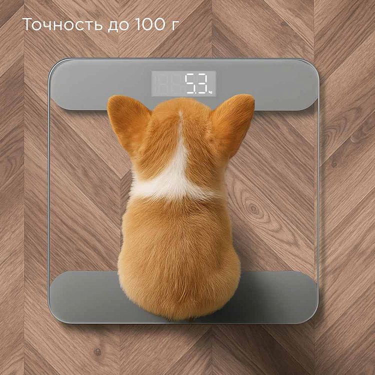 Напольные весы РЕДМОНД SB1811 (серый) - фото 4 - купить в интернет-магазине Редмонд