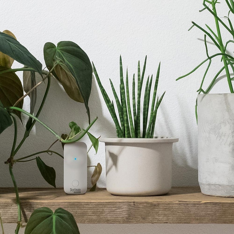 Умная климатическая станция REDMOND SkyClimate RSC-51S - фото 2 - купить в интернет-магазине Редмонд