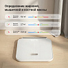 Умные напольные весы РЕДМОНД Skybalance SB1813S, фото