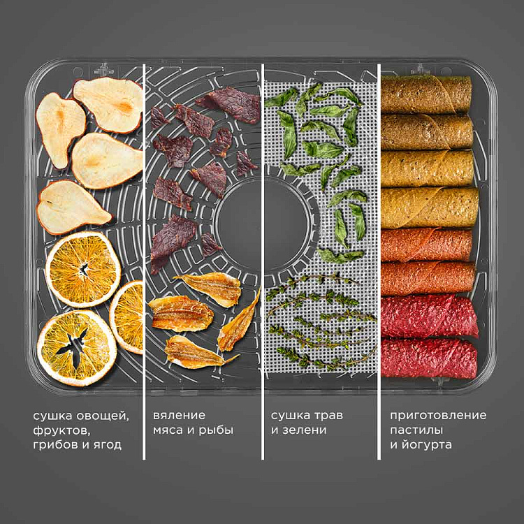 Электросушилка РЕДМОНД FD1106 - фото 2 - купить в интернет-магазине Редмонд