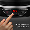 Электросушилка РЕДМОНД FD1102 (черный), фото