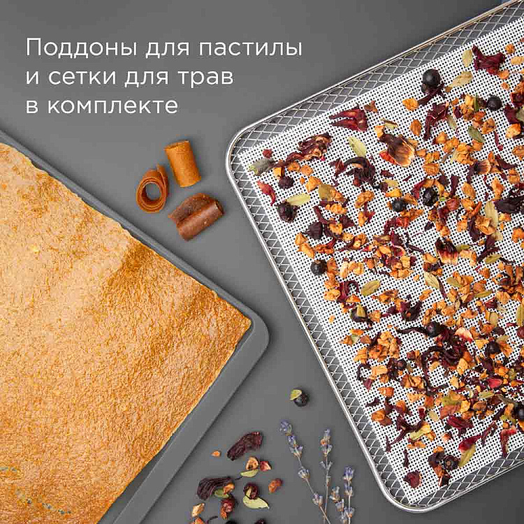 Дегидратор РЕДМОНД FD1104 - фото 7 - купить в интернет-магазине Редмонд