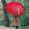 Зонт-трость редмонд RU-S01, фото