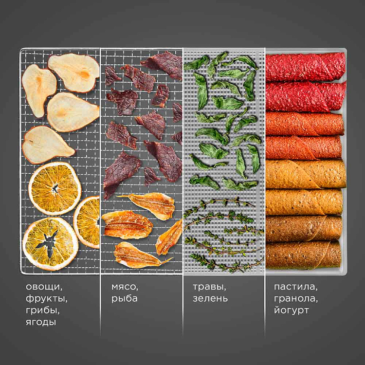 Электросушилка REDMOND FD1105 (графитовый) - фото 2 - купить в интернет-магазине Редмонд