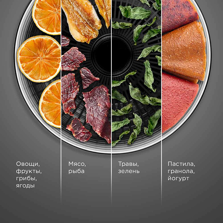 Электросушилка РЕДМОНД FD1102 - фото 2 - купить в интернет-магазине Редмонд